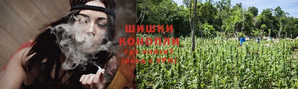 MESCALINE Алзамай