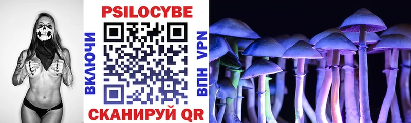 hydra маркетплейс  Балашиха  Галлюциногенные грибы Psilocybine cubensis 